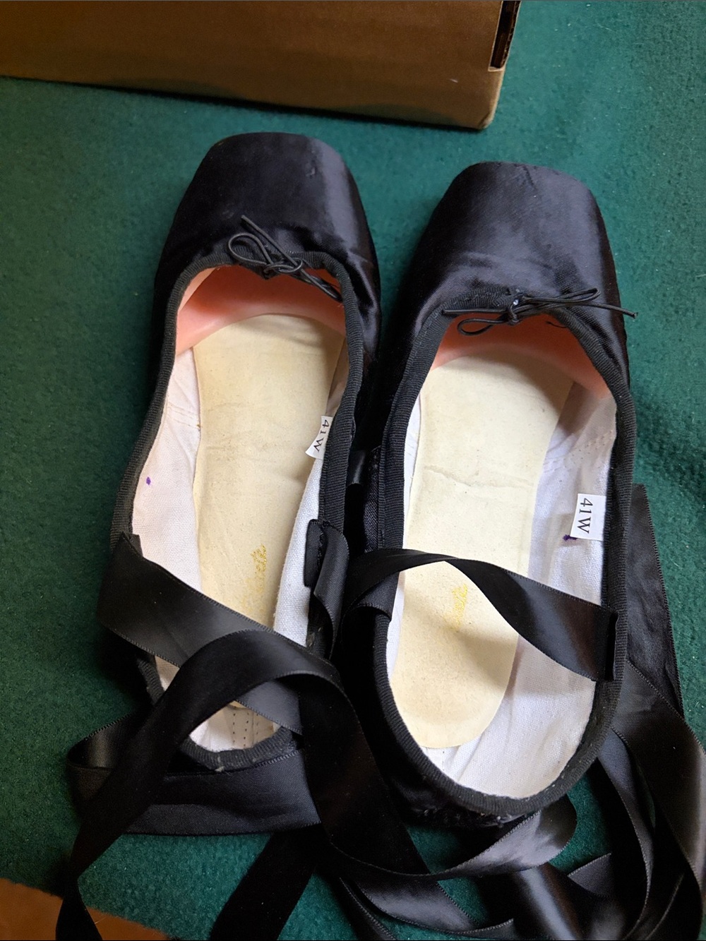 Women's Black Satin Ballet Toe Shoes